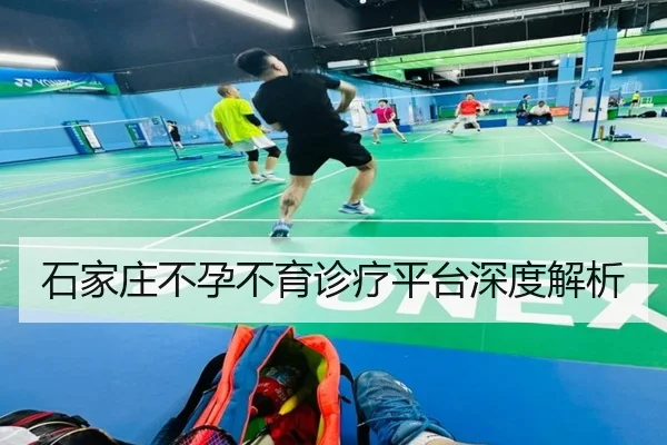 石家庄不孕不育诊疗平台深度解析