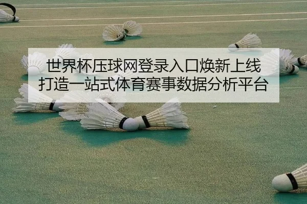世界杯压球网登录入口焕新上线 打造一站式体育赛事数据分析平台
