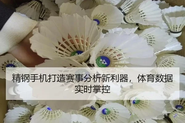 精钢手机打造赛事分析新利器，体育数据实时掌控