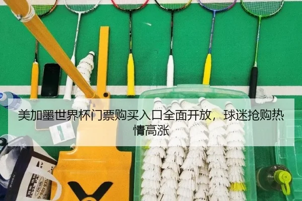 美加墨世界杯门票购买入口全面开放，球迷抢购热情高涨